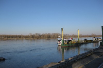 cofin_02 1154x768.jpg cofin_02 1154x768.jpg
