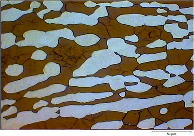 Image5.jpg