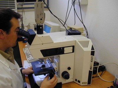 Microscopio ottico Microscopio ottico