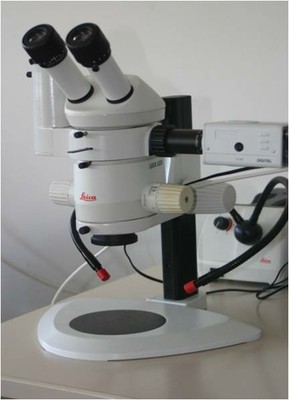 Stereographic microscope.jpg Stereographic microscope.jpg